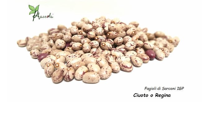 Fagioli Regina Ciuoto Phaseola