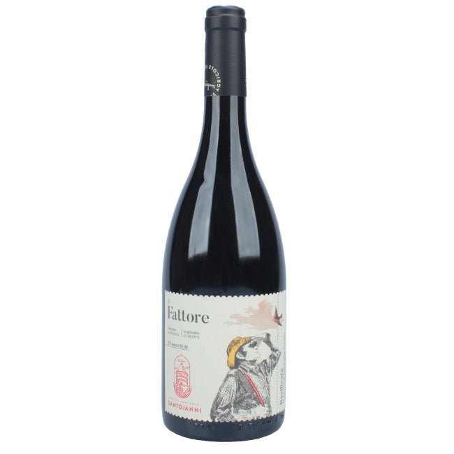 Basilicata Rosso IGP Aglianico del Vulture il Fattore Santojanni