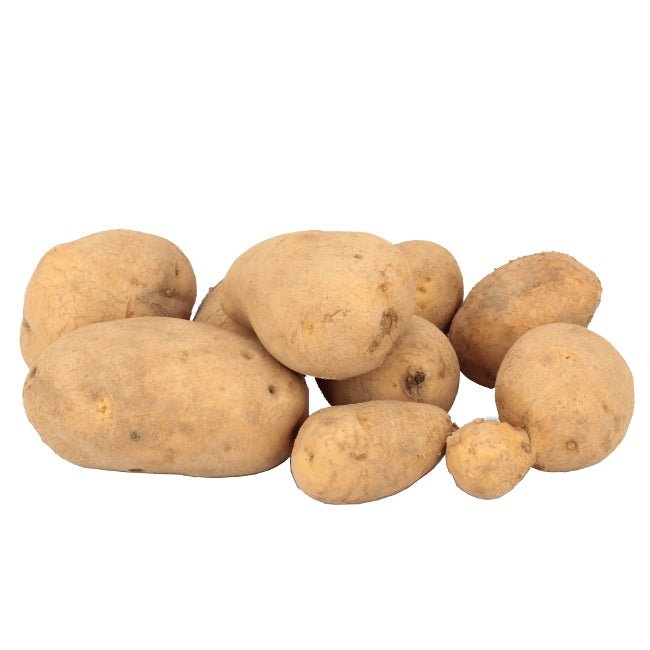 Patate Bianche della Basilicata
