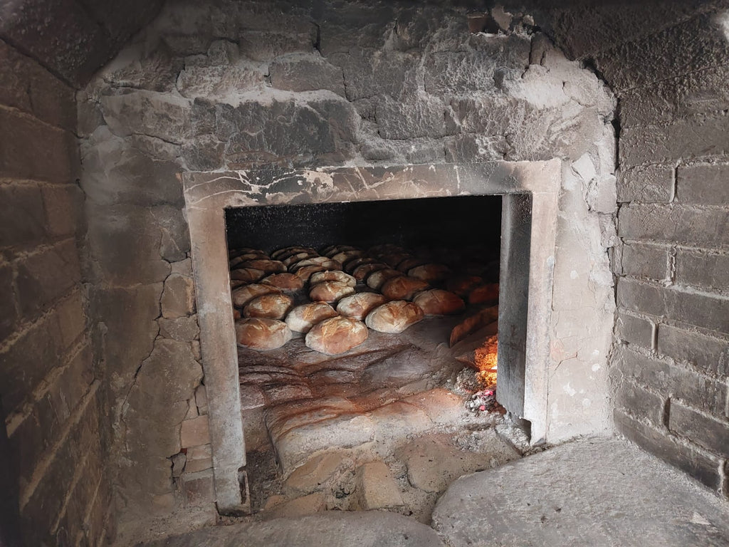 Pane di Corleto Perticara cotto in forno a legna con semola rimacinata di grano duro