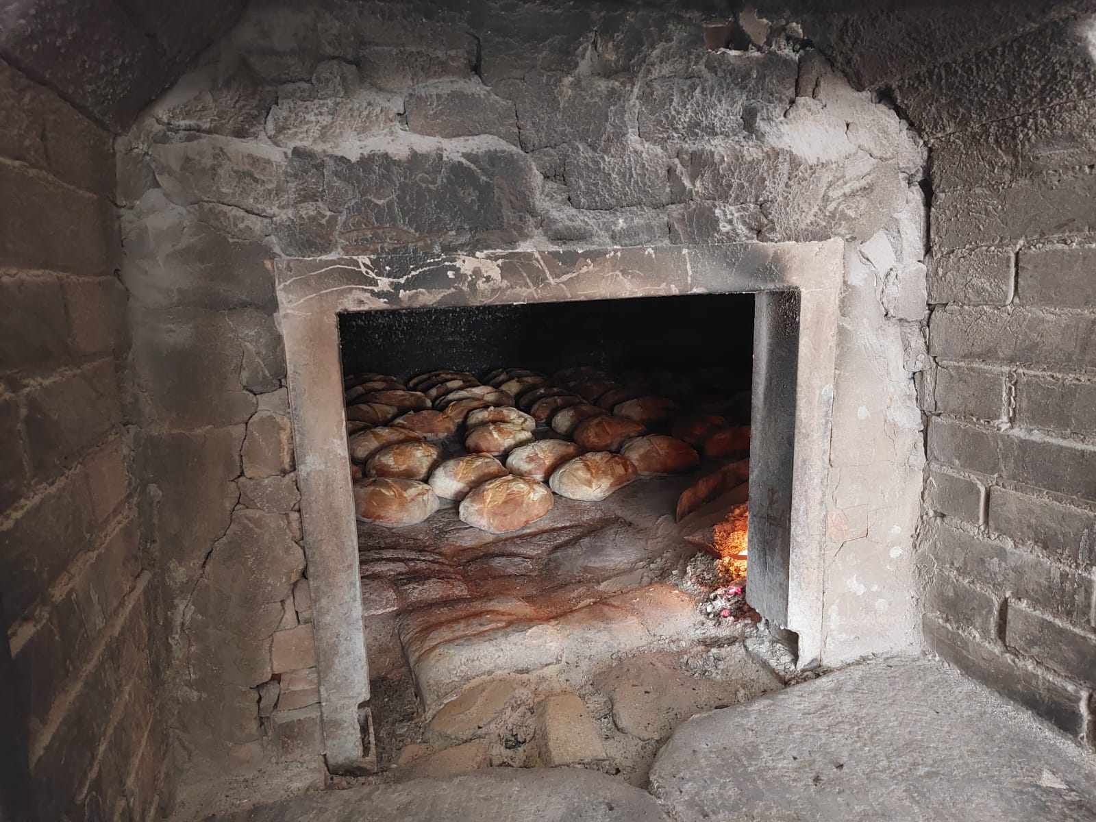 Il Pane di Corleto Perticara perché è così buono? – Sudrise