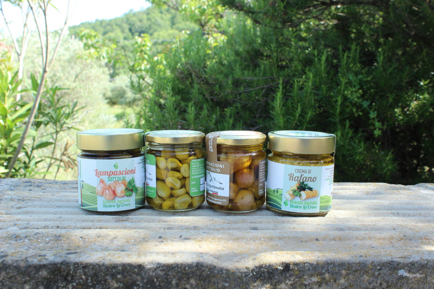 Sott'olio - Sudrise