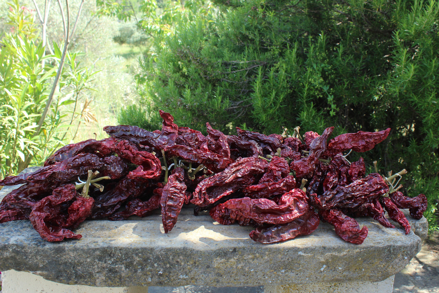 Peperoni Cruschi - Sudrise