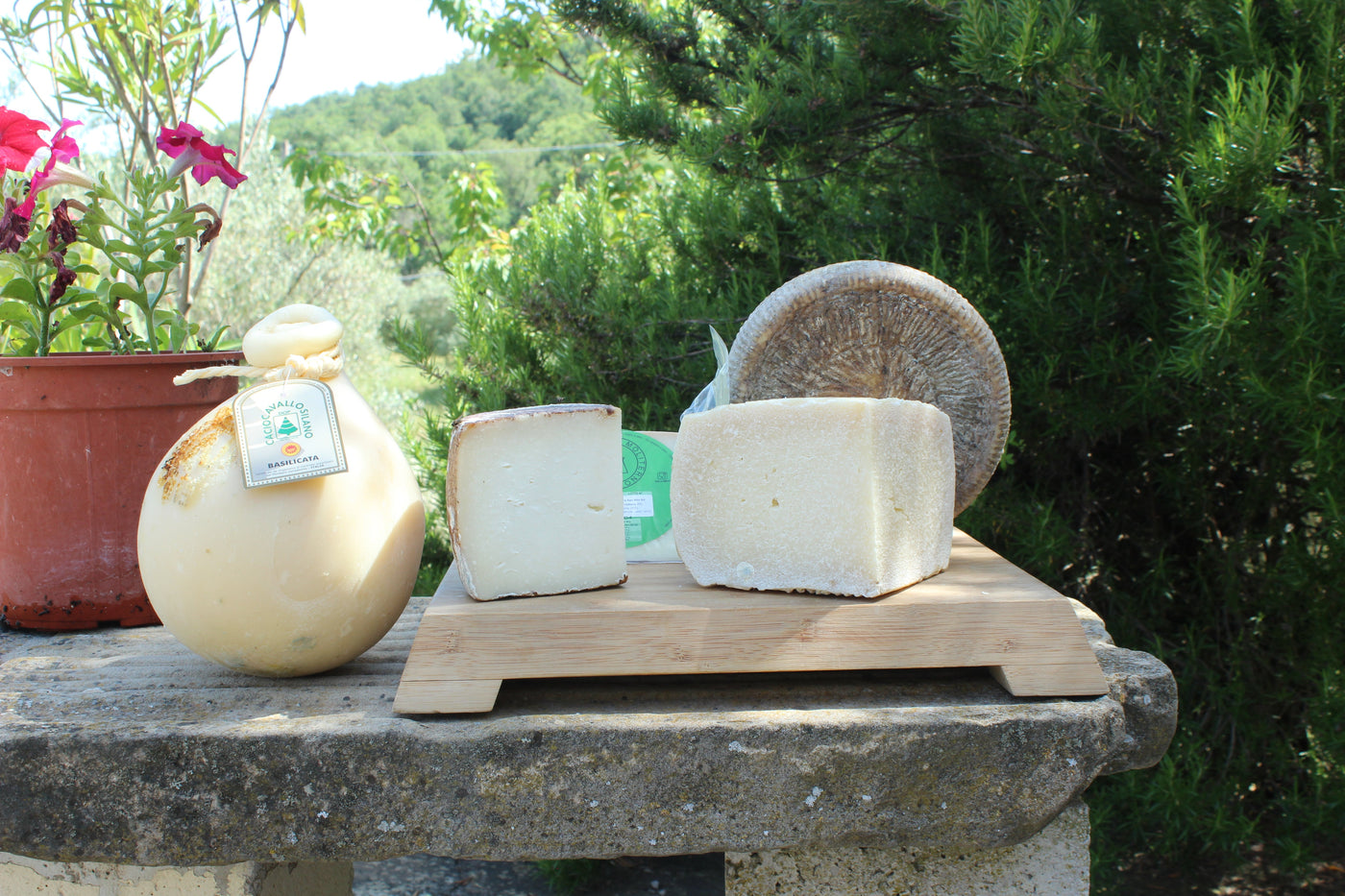 Formaggi Lucani - Sudrise