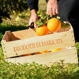 Cassetta di arance Navel biologiche lucane, dal colore arancio intenso e gusto dolce, buccia commestibile.