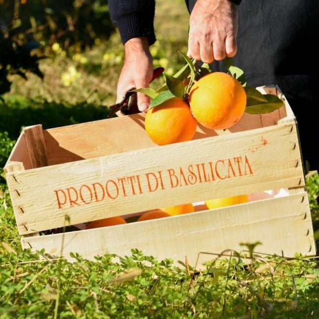 Cassetta di arance Navel biologiche lucane, dal colore arancio intenso e gusto dolce, buccia commestibile.