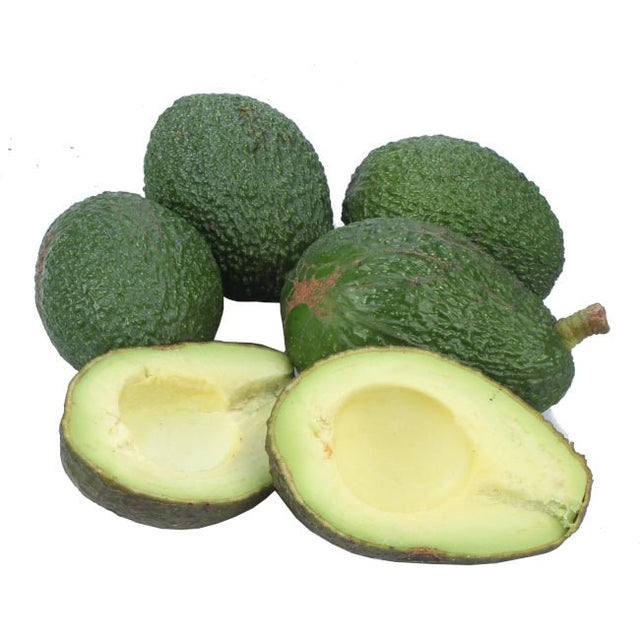 Avocado della Basilicata Biologici qualità Haas