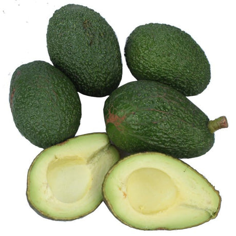 Avocado Haas biologici coltivati a Rotondella, prodotto italiano del Metapontino, dalla polpa cremosa e dal gusto intenso.