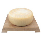 Formaggio caprino di Lagonegro Capretta Bedda