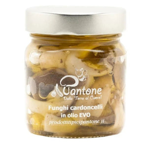 Funghi sott'olio della Basilicata