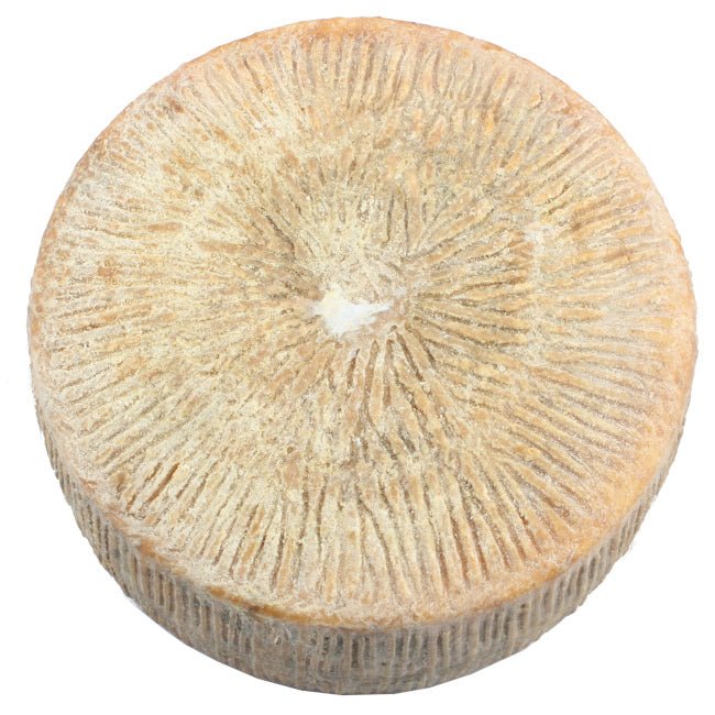 Pecorino di Forenza artigianale del caseificio Caggiano Summo, formaggio a pasta compatta dal colore giallo paglierino e dal sapore intenso con note di erbe aromatiche e sentori di pascolo.