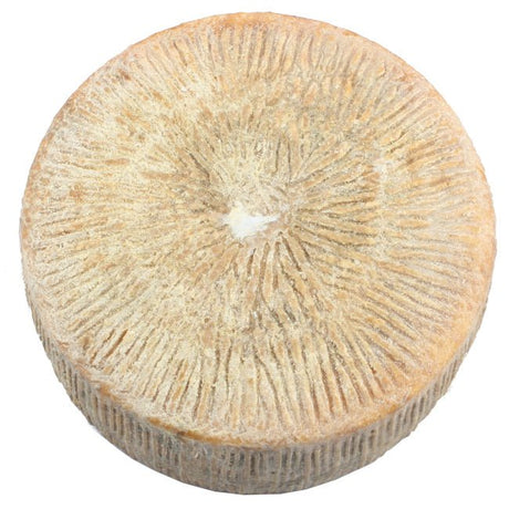 Pecorino di Forenza artigianale del caseificio Caggiano Summo, formaggio a pasta compatta dal colore giallo paglierino e dal sapore intenso con note di erbe aromatiche e sentori di pascolo.