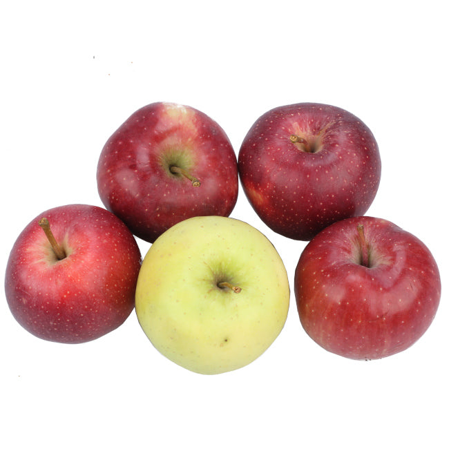 Dettaglio di mele lucane Tropiano, mix colorato di Golden, Gala e Red Chief, simbolo della frutticoltura di qualità della Val d’Agri