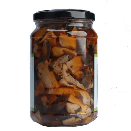 Funghi cardoncelli della Basilicata